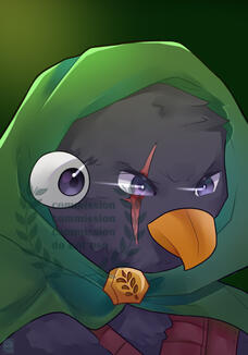 Commission#29